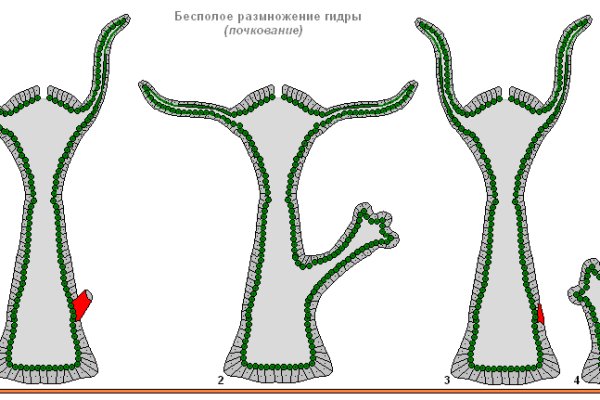 Кракен маркетплейс что это