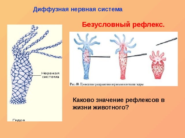 Пользователь не найден при входе на кракен